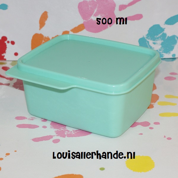 Kloppen Roos Vaderlijk Tupperware label doos 500 ml mint groen - Louis Allerhande